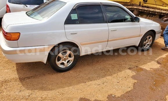 Buy Used Toyota Premio White Car in Kampala in Uganda