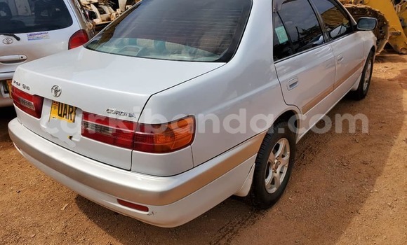 Gura Yakoze Toyota Premio White Imodoka i Kampala mu Uganda Gura Yakoze Toyota Premio White Imodoka i Kampala mu Uganda