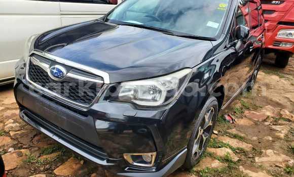 Acheter Occasion Voiture Subaru Forester Noir à Kampala, Ouganda