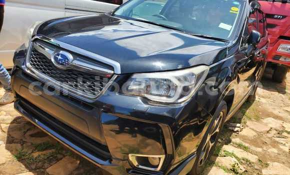 Gura Yakoze Subaru Forester Black Imodoka i Kampala mu Uganda Gura Yakoze Subaru Forester Black Imodoka i Kampala mu Uganda