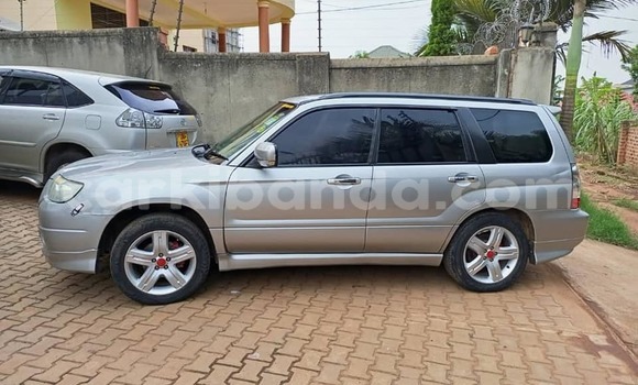 Gura Yakoze Subaru Forester Silver Imodoka i Kampala mu Uganda Gura Yakoze Subaru Forester Silver Imodoka i Kampala mu Uganda
