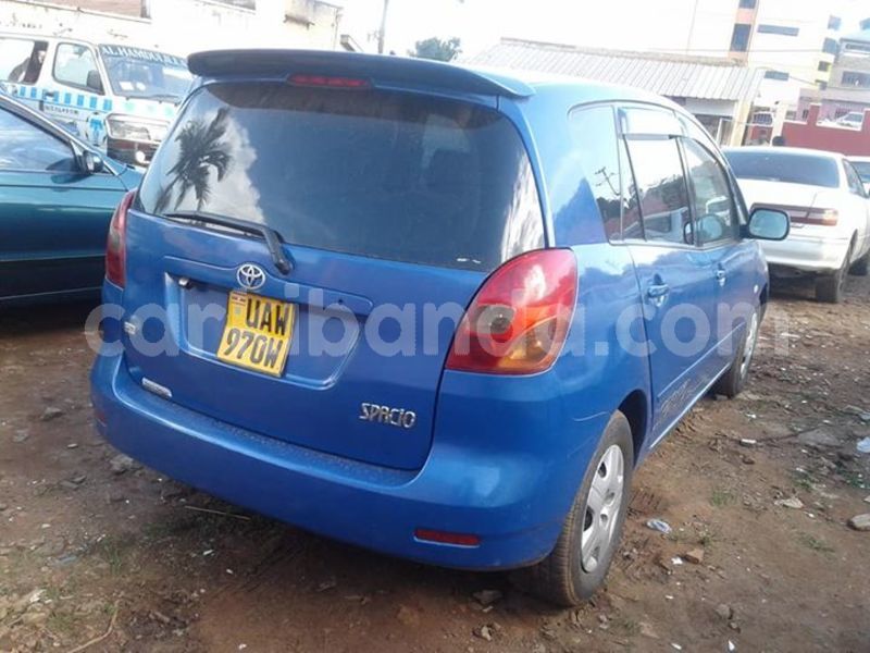 Big with watermark 41831257 905103629688396 3175215699266109440 n