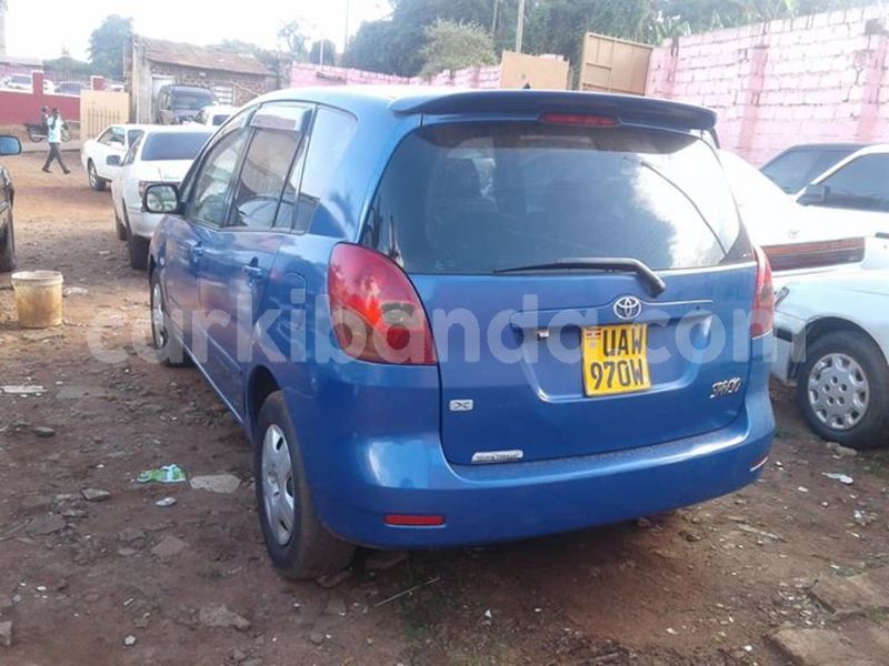 Big with watermark 41842815 905103423021750 7773183901387718656 n