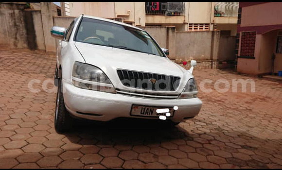 Buy Used Lexus RX White Car in Kampala in Uganda