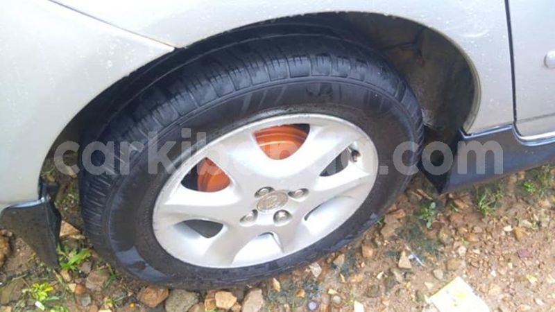 Big with watermark 41889682 905711169627642 3495533063121666048 n