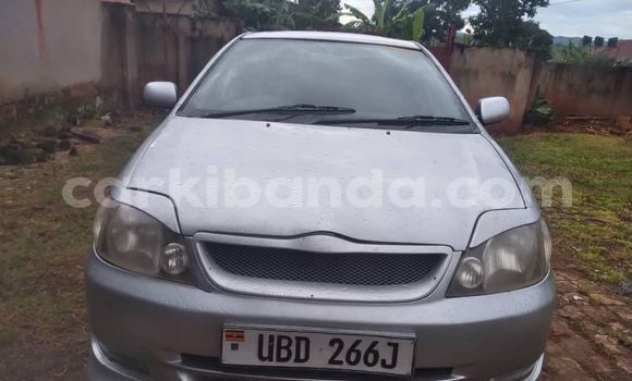 Nunua Ilio tumika Toyota Runx Fedha Gari ndani ya Kampala nchini Uganda