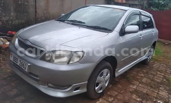 Buy Used Toyota Runx Silver Car in Kampala in Uganda Buy Used Toyota Runx Silver Car in Kampala in Uganda