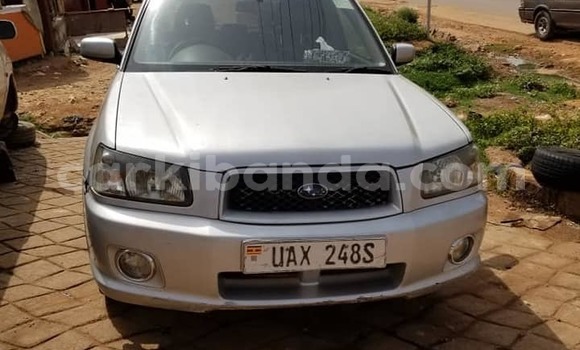 Buy Used Subaru Forester Silver Car in Kampala in Uganda Buy Used Subaru Forester Silver Car in Kampala in Uganda