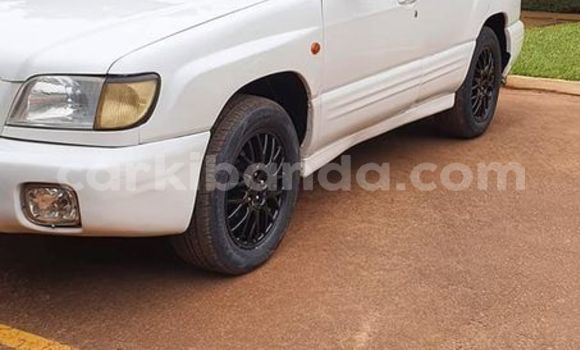 Buy Used Subaru Forester White Car in Kampala in Uganda Buy Used Subaru Forester White Car in Kampala in Uganda