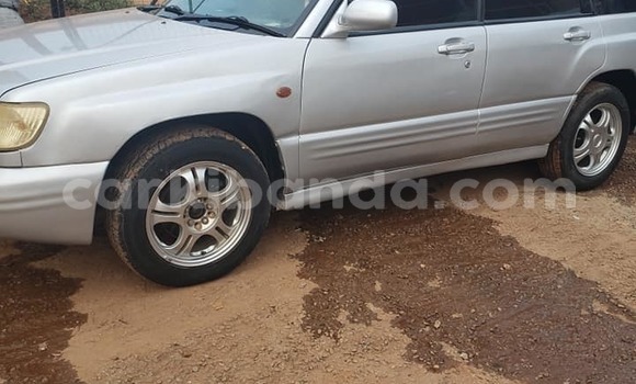 Buy Used Subaru Forester Silver Car in Kampala in Uganda Buy Used Subaru Forester Silver Car in Kampala in Uganda