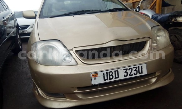 Acheter Occasion Voiture Toyota Allex Marron à Kampala, Ouganda Acheter Occasion Voiture Toyota Allex Marron à Kampala, Ouganda