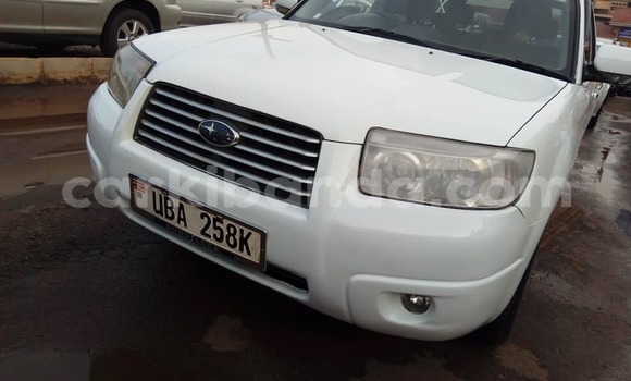 Buy Used Subaru Forester White Car in Kampala in Uganda