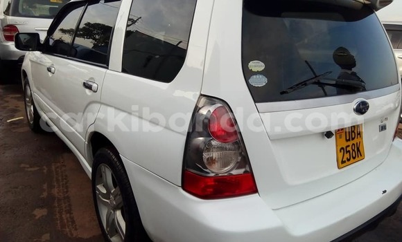 Acheter Occasion Voiture Subaru Forester Blanc à Kampala, Ouganda Acheter Occasion Voiture Subaru Forester Blanc à Kampala, Ouganda