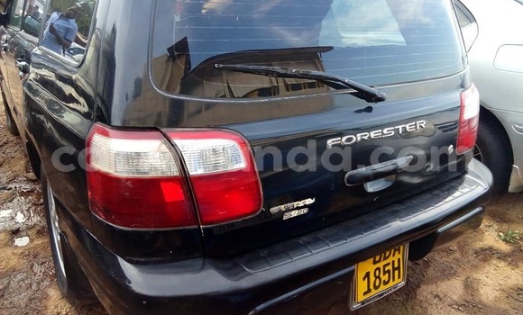 Acheter Occasion Voiture Subaru Forester Noir à Kampala, Ouganda Acheter Occasion Voiture Subaru Forester Noir à Kampala, Ouganda