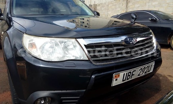 Acheter Occasion Voiture Subaru Forester Noir à Kampala, Ouganda Acheter Occasion Voiture Subaru Forester Noir à Kampala, Ouganda