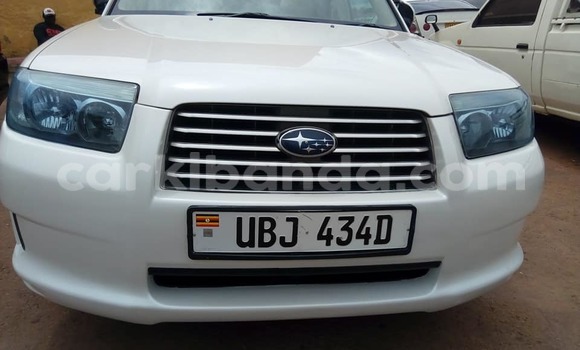 Gura Yakoze Subaru Forester White Imodoka i Kampala mu Uganda Gura Yakoze Subaru Forester White Imodoka i Kampala mu Uganda