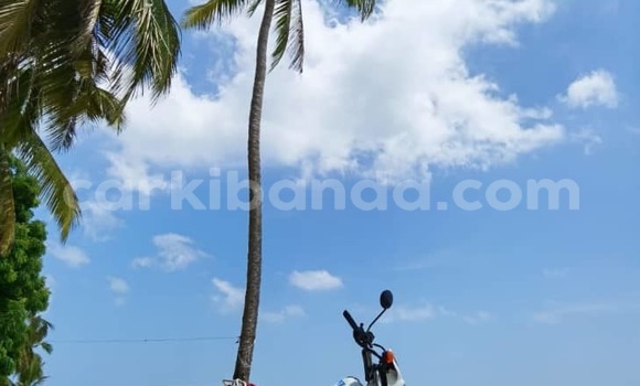 Buy Import Honda XL White Bike in Jinja–Kawempe in Central Buy Import Honda XL White Bike in Jinja–Kawempe in Central