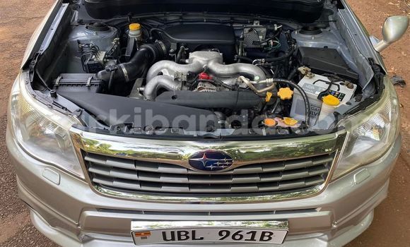 Nunua Ilio tumika Subaru Forester Fedha Gari ndani ya Kampala nchini Uganda Nunua Ilio tumika Subaru Forester Fedha Gari ndani ya Kampala nchini Uganda