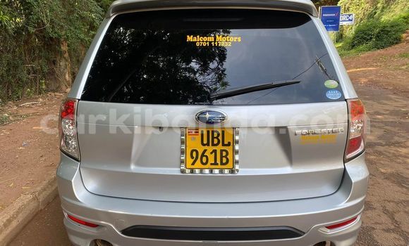 Nunua Ilio tumika Subaru Forester Fedha Gari ndani ya Kampala nchini Uganda Nunua Ilio tumika Subaru Forester Fedha Gari ndani ya Kampala nchini Uganda
