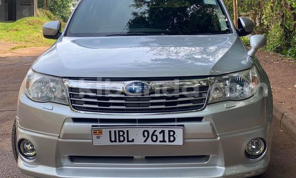 Nunua Ilio tumika Subaru Forester Fedha Gari ndani ya Kampala nchini Uganda Nunua Ilio tumika Subaru Forester Fedha Gari ndani ya Kampala nchini Uganda