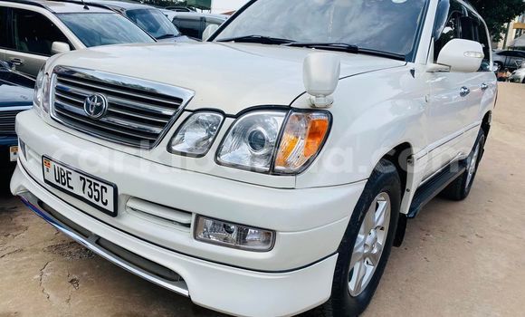 Nunua Ilio tumika Toyota Land Cruiser Nyeupe Gari ndani ya Kampala nchini Uganda