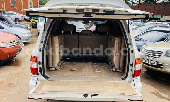 Nunua Ilio tumika Toyota Land Cruiser Nyeupe Gari ndani ya Kampala nchini Uganda Nunua Ilio tumika Toyota Land Cruiser Nyeupe Gari ndani ya Kampala nchini Uganda