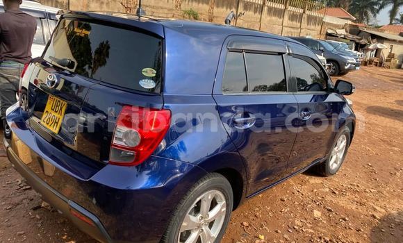 Buy Used Toyota IST Blue Car in Kampala in Uganda