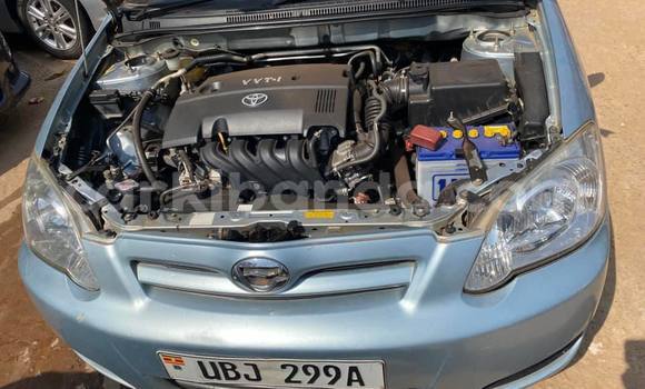 Acheter Occasion Voiture Toyota Allex Bleu à Kampala, Ouganda Acheter Occasion Voiture Toyota Allex Bleu à Kampala, Ouganda