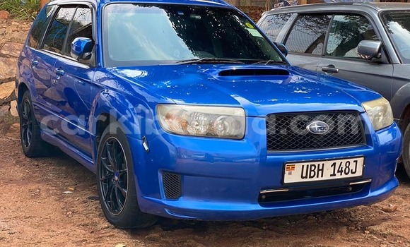 Nunua Ilio tumika Subaru Forester Bluu Gari ndani ya Kampala nchini Uganda Nunua Ilio tumika Subaru Forester Bluu Gari ndani ya Kampala nchini Uganda