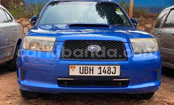 Nunua Ilio tumika Subaru Forester Bluu Gari ndani ya Kampala nchini Uganda Nunua Ilio tumika Subaru Forester Bluu Gari ndani ya Kampala nchini Uganda