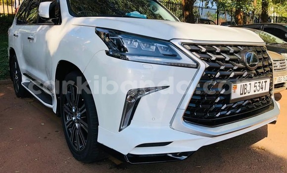 Nunua Ilio tumika Lexus LX 570 Nyeupe Gari ndani ya Kampala nchini Uganda Nunua Ilio tumika Lexus LX 570 Nyeupe Gari ndani ya Kampala nchini Uganda