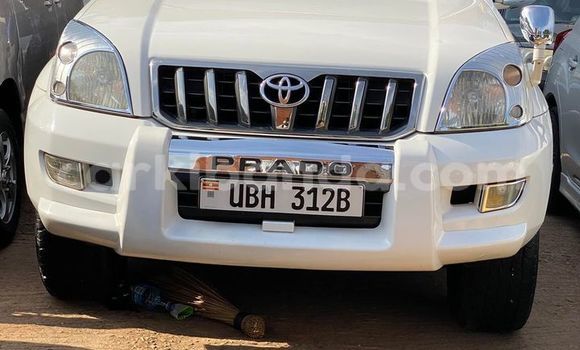 Nunua Ilio tumika Toyota Land Cruiser Nyeupe Gari ndani ya Kampala nchini Uganda Nunua Ilio tumika Toyota Land Cruiser Nyeupe Gari ndani ya Kampala nchini Uganda