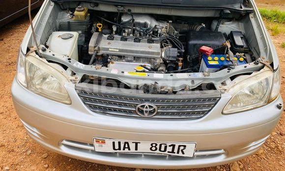 Nunua Ilio tumika Toyota Spacio Fedha Gari ndani ya Kampala nchini Uganda Nunua Ilio tumika Toyota Spacio Fedha Gari ndani ya Kampala nchini Uganda