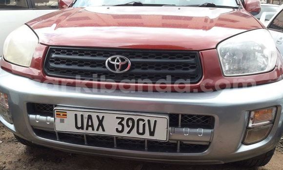 Acheter Occasion Voiture Toyota RAV4 Rouge à Kampala, Ouganda Acheter Occasion Voiture Toyota RAV4 Rouge à Kampala, Ouganda