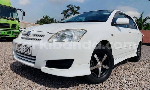 Buy Used Toyota Allex White Car in Kampala in Uganda Buy Used Toyota Allex White Car in Kampala in Uganda