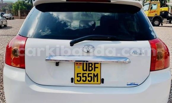 Buy Used Toyota Allex White Car in Kampala in Uganda Buy Used Toyota Allex White Car in Kampala in Uganda