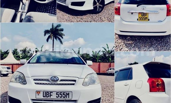 Buy Used Toyota Allex White Car in Kampala in Uganda Buy Used Toyota Allex White Car in Kampala in Uganda
