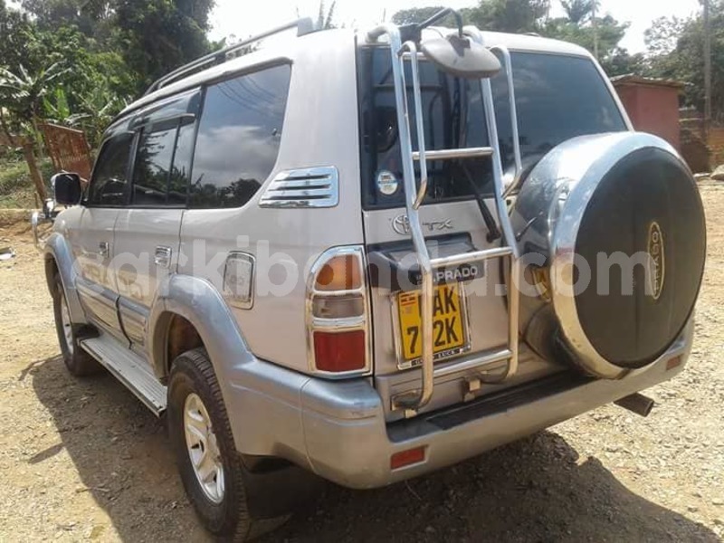 Big with watermark 42547276 911027692429323 2943721308518612992 n