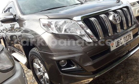 Acheter Occasion Voiture Toyota Land Cruiser Marron à Kampala, Ouganda Acheter Occasion Voiture Toyota Land Cruiser Marron à Kampala, Ouganda