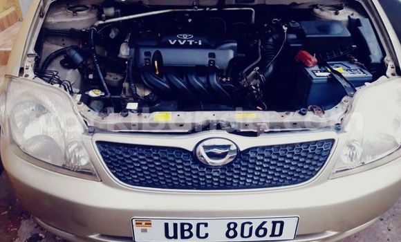 Acheter Occasion Voiture Toyota Runx Marron à Kampala, Ouganda Acheter Occasion Voiture Toyota Runx Marron à Kampala, Ouganda