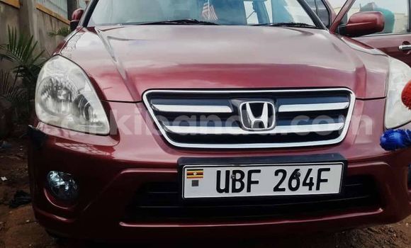 Buy Used Honda CR–V Red Car in Kampala in Uganda