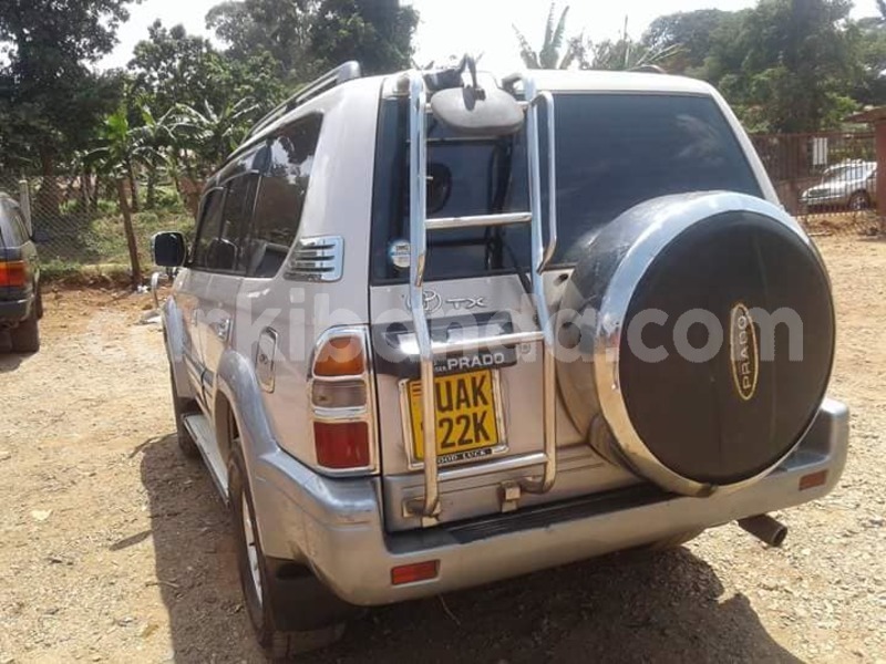 Big with watermark 42600231 911027479096011 607762499726475264 n