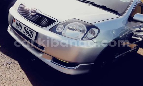 Nunua Ilio tumika Toyota Allex Nyeupe Gari ndani ya Kampala nchini Uganda