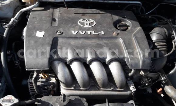 Acheter Occasion Voiture Toyota Allex Blanc à Kampala, Ouganda Acheter Occasion Voiture Toyota Allex Blanc à Kampala, Ouganda