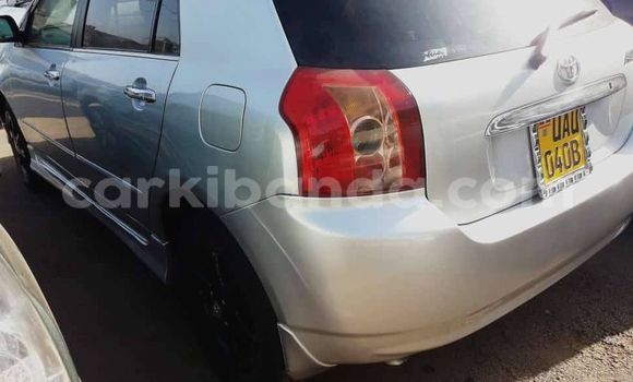 Acheter Occasion Voiture Toyota Allex Blanc à Kampala, Ouganda Acheter Occasion Voiture Toyota Allex Blanc à Kampala, Ouganda