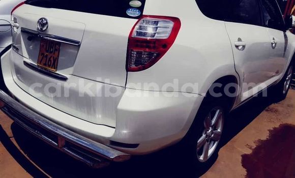 Acheter Occasion Voiture Toyota Vanguard Blanc à Kampala, Ouganda Acheter Occasion Voiture Toyota Vanguard Blanc à Kampala, Ouganda