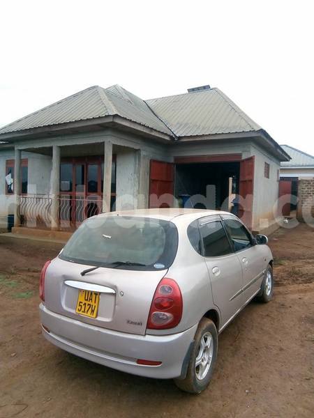 Big with watermark 42553468 1965093473537666 7370804671876694016 n