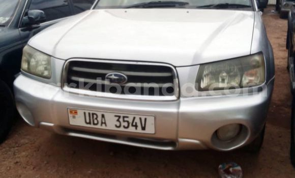 Acheter Occasion Voiture Subaru Forester Gris à Kampala, Ouganda