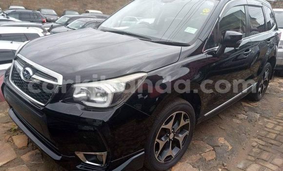 Buy Used Subaru Forester Black Car in Kampala in Uganda Buy Used Subaru Forester Black Car in Kampala in Uganda