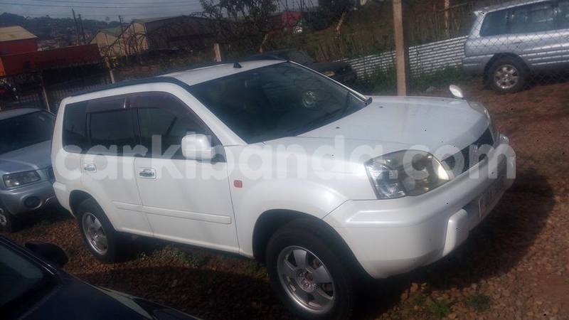 Big with watermark 42820838 114270292878575 7801052419458072576 n